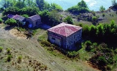 The parish Church of San Vitale
