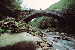 Ancient bridge